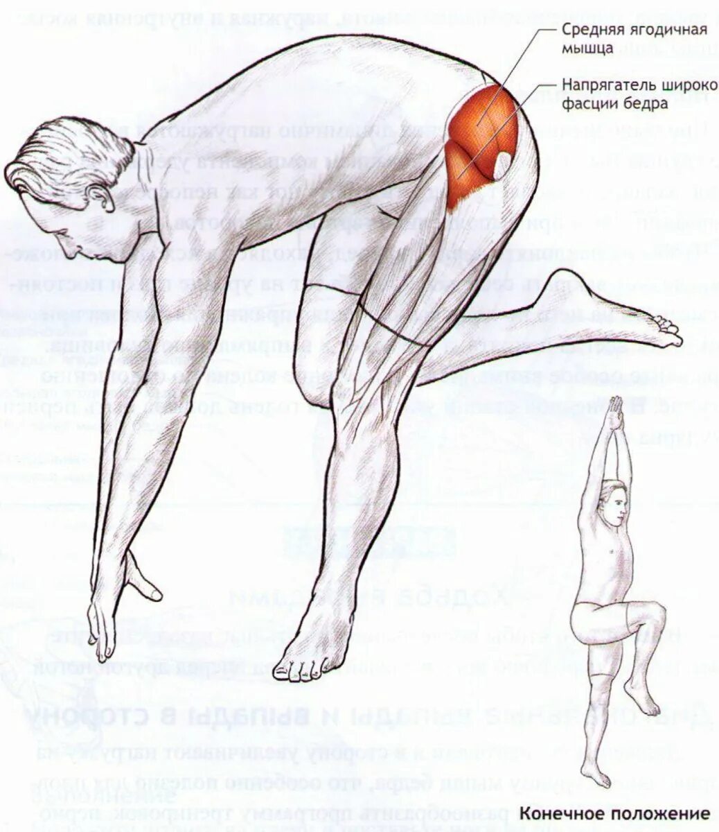 Поясница нога отнимается. Напрягатель широкой фасции бедра растяжка. Растяжка средних ягодичных мышц. Упражнения на растяжку напрягателя широкой фасции бедра. Упражнения на среднюю ягодичную мышцу.