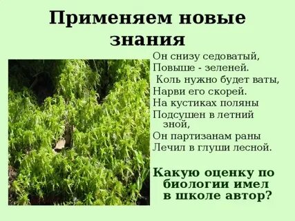 Коль нужна