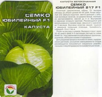 Сорт капусты юбилей
