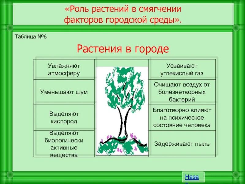 Роль растений в городе. Роль растительности. Роль растений в очищении воздуха. Влияние растений на городскую среду..