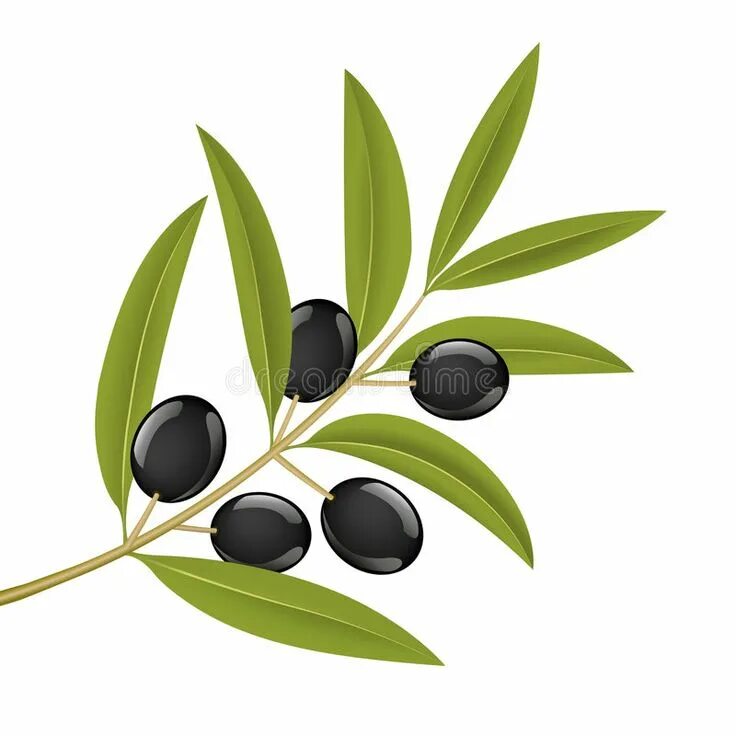 Branch details