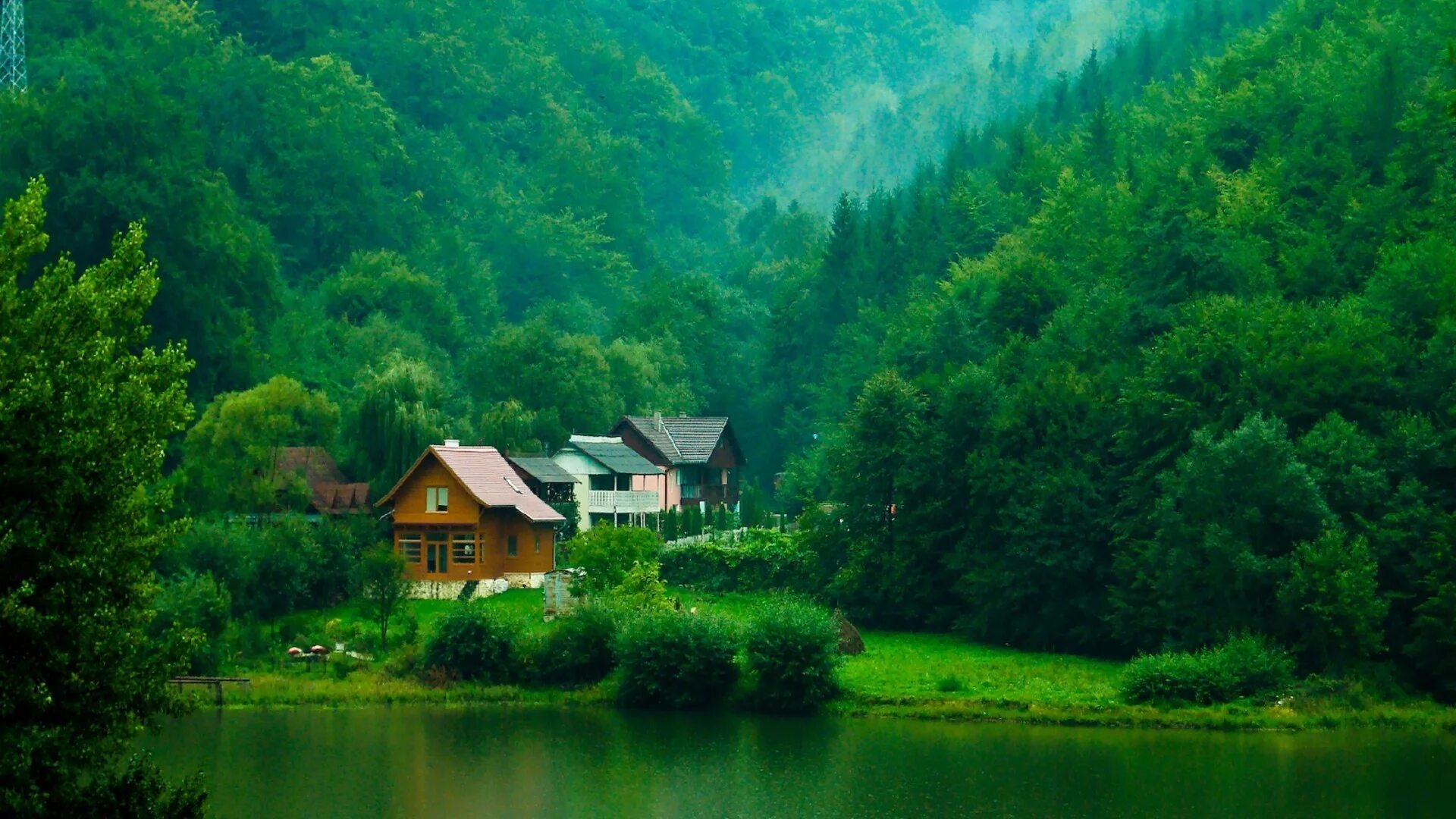 Spring valley лесная деревня