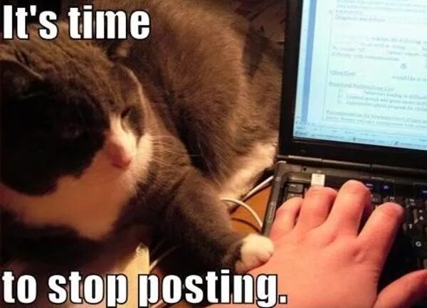 It s time to do. Its time to stop posting. stop мем. it time to stop мем. мем стопэ с котом.