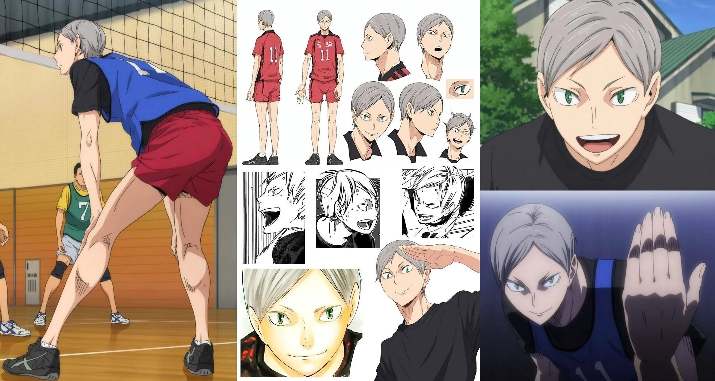 Львы про волейбол. Лев хайба рост. алиса хайба волейбол. лев хайба в полный рост.