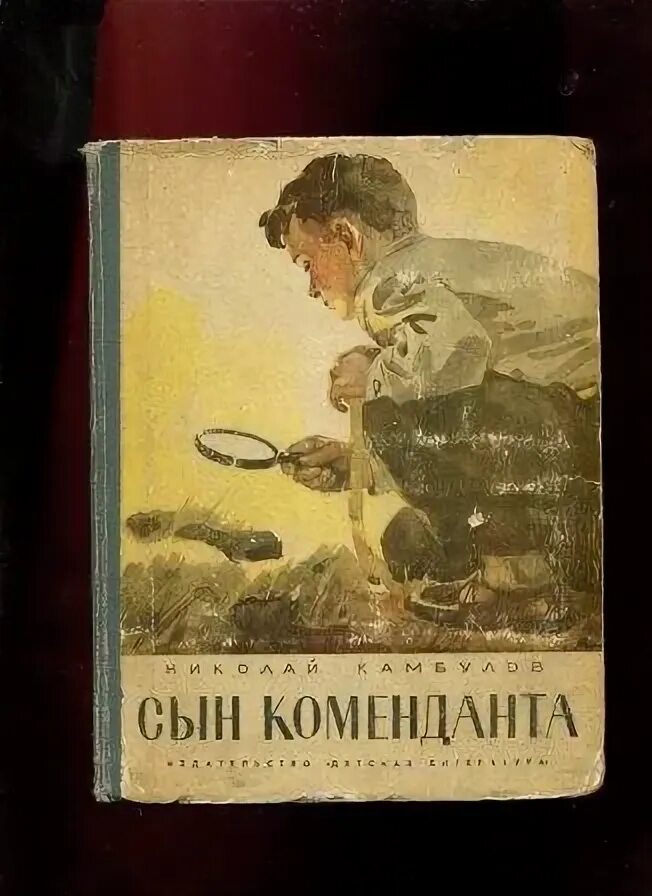 Сын начальника. Сын комендант. Мальчик в полосатой пижаме фильм 2008. Книги николая камбулова. Сын комендант.