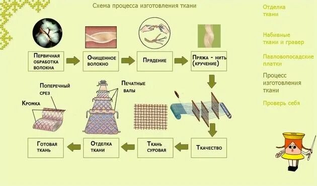 Формирование тканей. Формирование тканей
