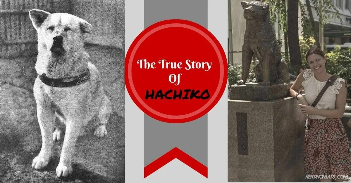 Фогель хатико. История Хатико. History is Hachiko Постер. Hachi: a Dog's Tale 2009.