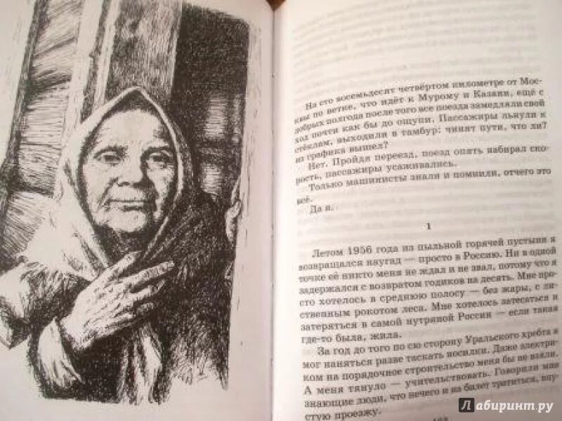 Рассказы солженицына читать. Солженицын Матренин двор книга. Солженицын Матренин двор иллюстрации. Рисунки к рассказу Матренин двор.