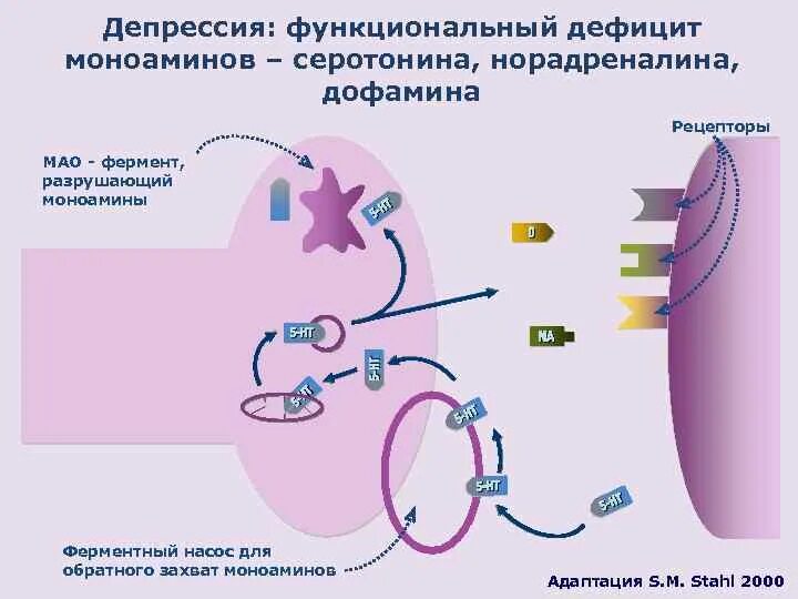 Депрессия какой гормон. Схема выработки серотонина. Механизм развития депрессии. Дофамин механизм действия. Механизм возникновения депрессии.