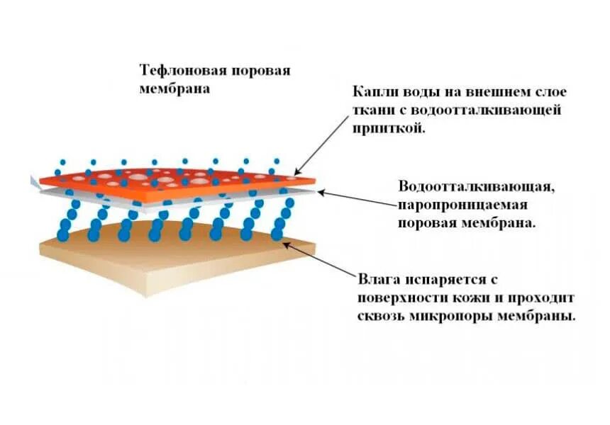 Паропроницаемая полимерная мембрана. Строение мембранной ткани. Мембрана ткань схема. Поровая мембрана. Ламинирование пропускает воду