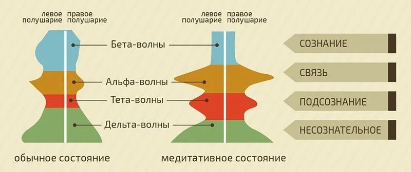 Мозг альфа бета. Мозговые волны Альфа бета тета гамма Дельта. Альфа бета гамма волны в мозге. Частота излучения мозга. Тета волны мозга.