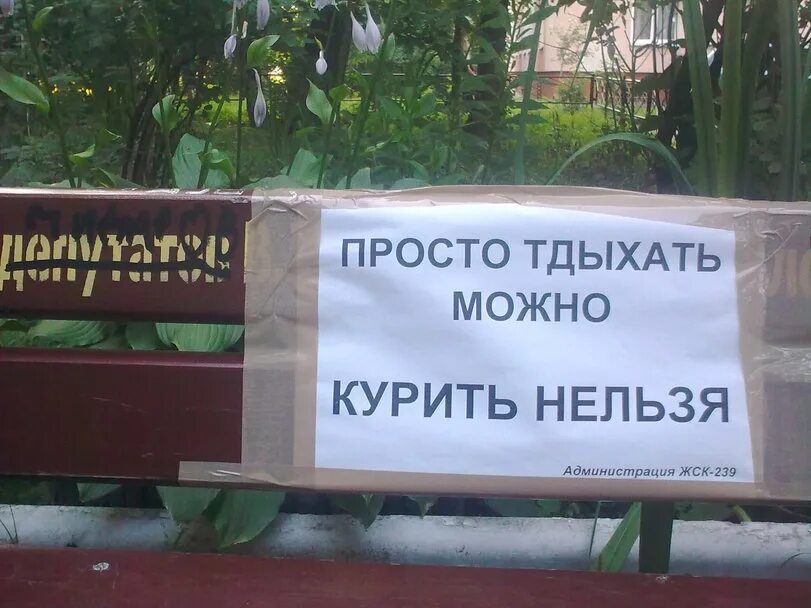 Мочь ш