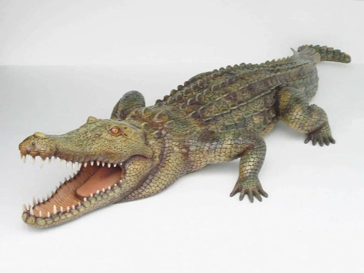 Ноги рептилий. Нильский крокодил Collecta. Лапа крокодила. Крокодил на задних лапах. Лапы крокодилов.