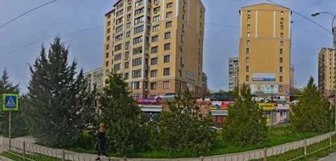 Авиценна ковыльная