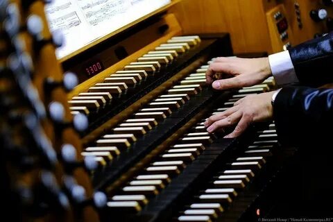 Органный мини концерт в калининграде сколько длится