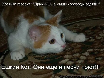 Ешкин дрын