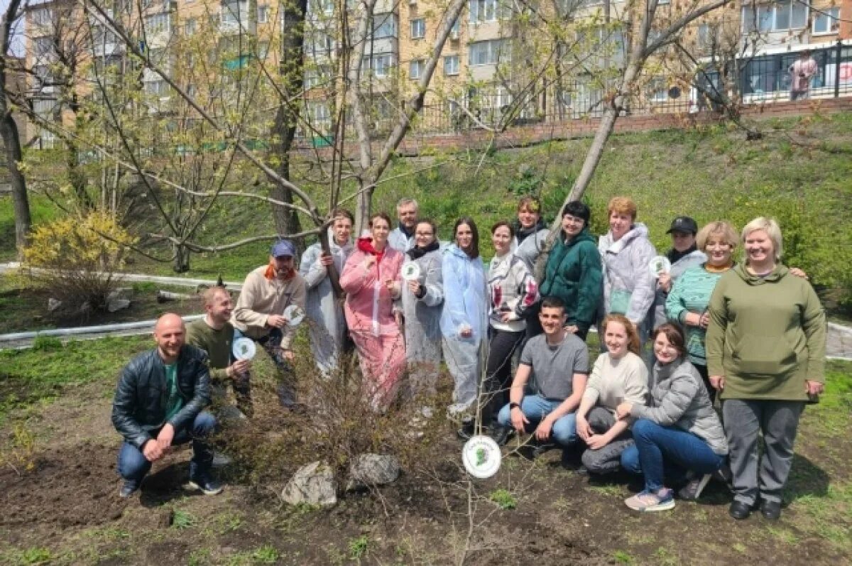 Сад памяти. Сад памяти 2024. Акция сад памяти. Сад 2024 участники. Выпуск 2024 в доу.
