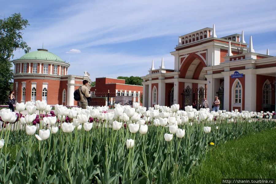 Царицыно омской области. Парк Царицыно. Парк Царицыно цветники. Парк Царицыно в Москве май. Парк Царицыно весной 2023.