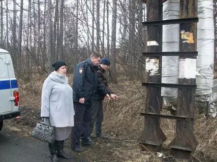 Криминальная гавань