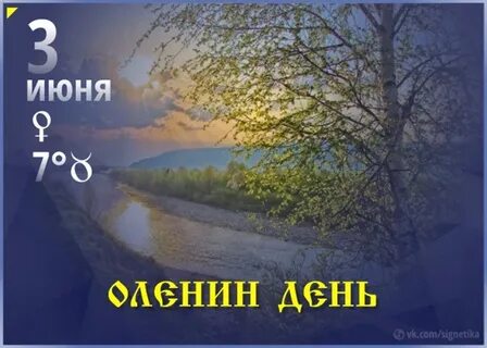 3 июня день