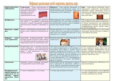 Сыпи при инфекции характер