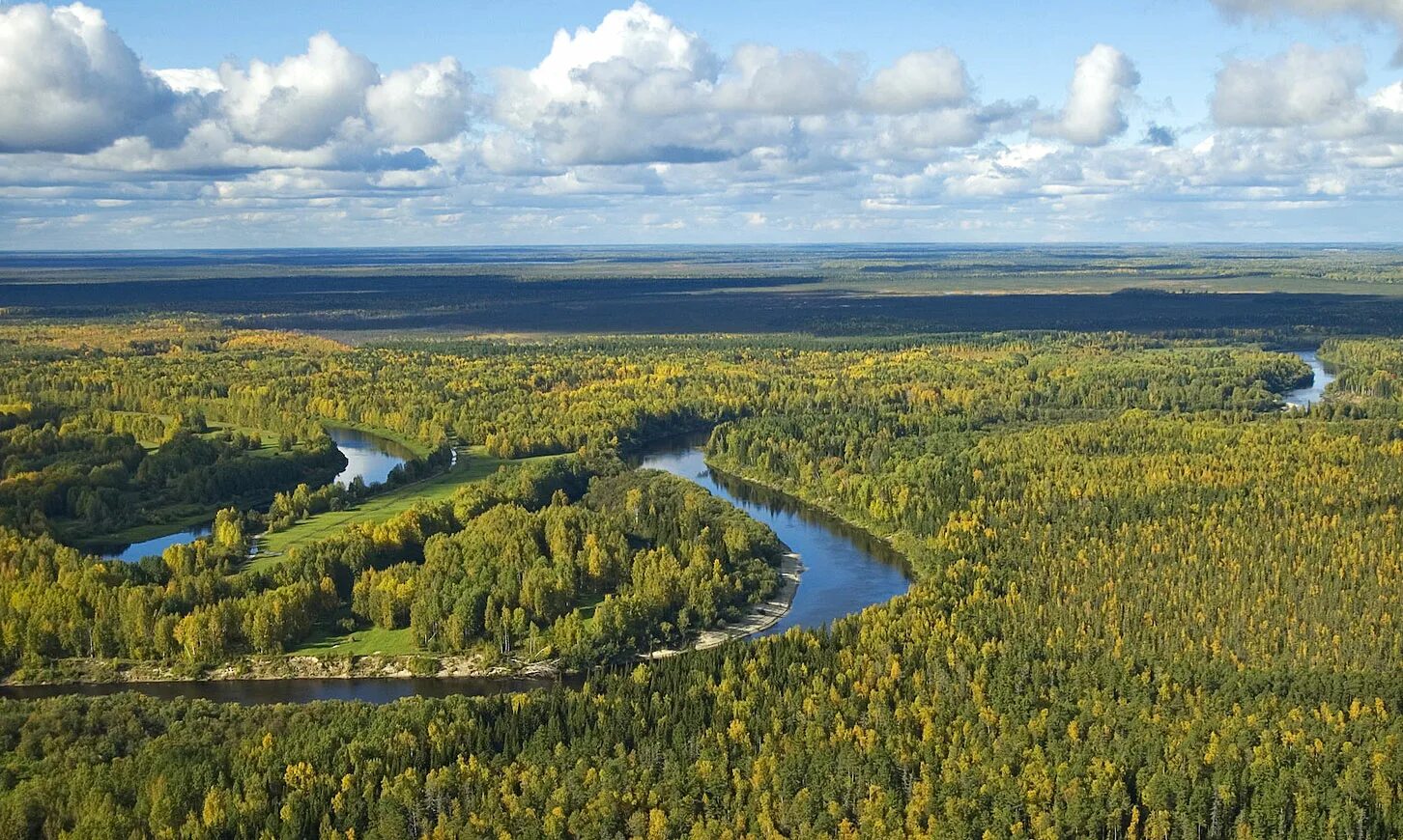 Большие реки западно сибирской равнины. Западная Сибирь река Васюган. Тайга Западно сибирской равнины. Река Васюган. Река Васюган Томская область.