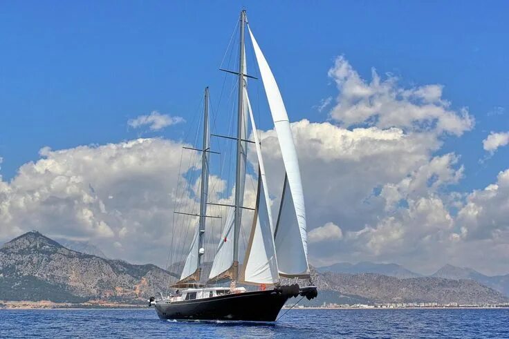 Lethantia by Royal Huisman