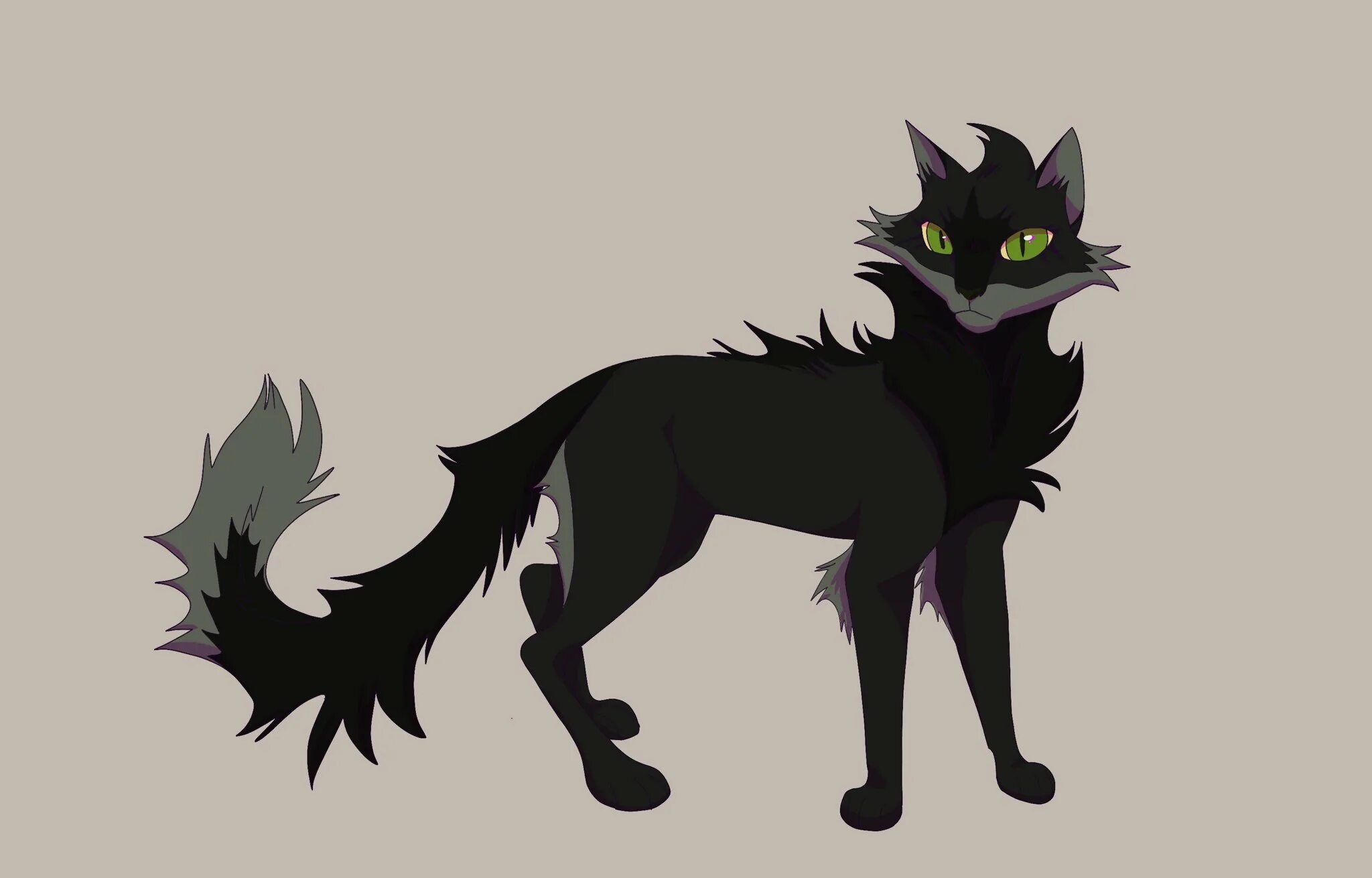 Коты воители остролистая. Остролист коты воители. Коты воители остролистая. Коты воители остролистая арт. Остролист коты воители.