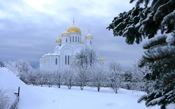 Погода в дивеево на неделю. Дивеево Тамбов. Дивеево монастырь 4 января 2023г фото. Погода в Дивеево. Погода в Дивеево сегодня.