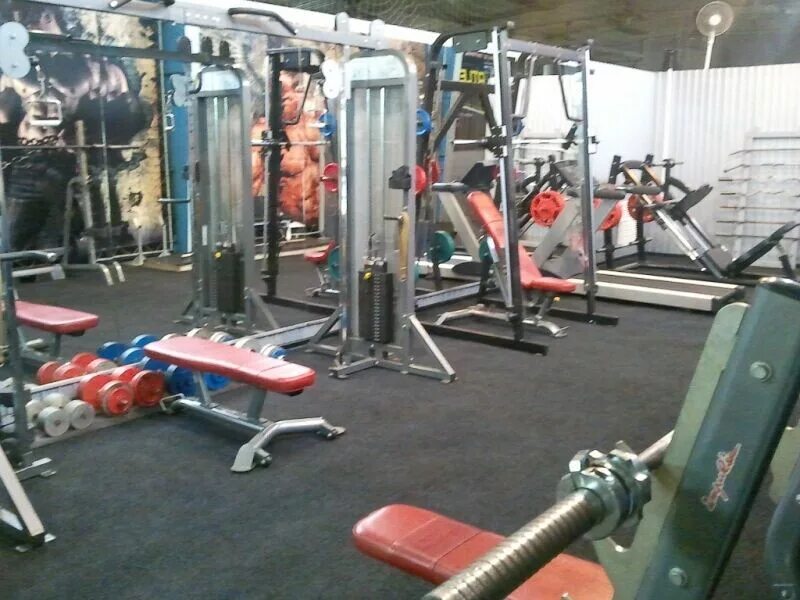 Медведь тренажерный зал дзержинск. Тренажерный зал стальной медведь боброво. Медведь краснодар тренажерный зал тургенева. Тренажёрный зал медведь ангарск. Спортзал медведь сочи.