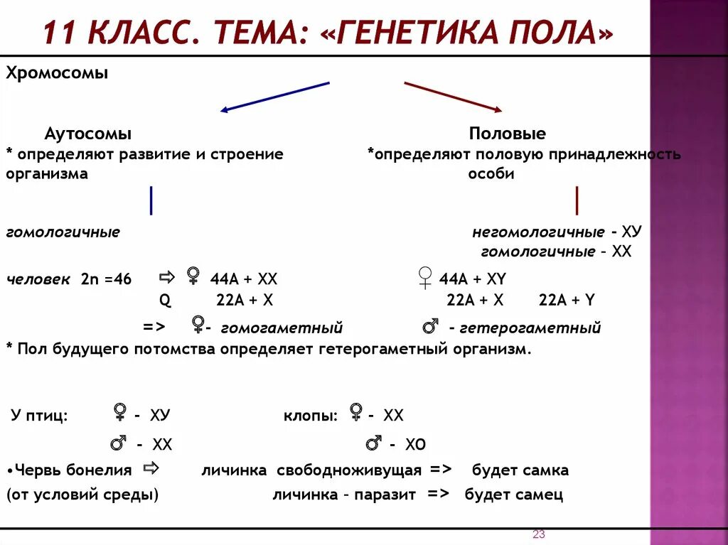 Контрольная работа по теме генетика. Генетика пола, генотип 10 класс биология. генетика пола конспект. таблица по биологии генетика пола 10 класс. генетика пола биология 10 класс задачи.