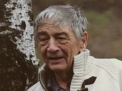 Писатель геншин