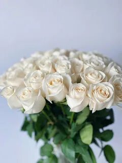 Открытки с днем рождения женщине белые розы (76 фото) .
