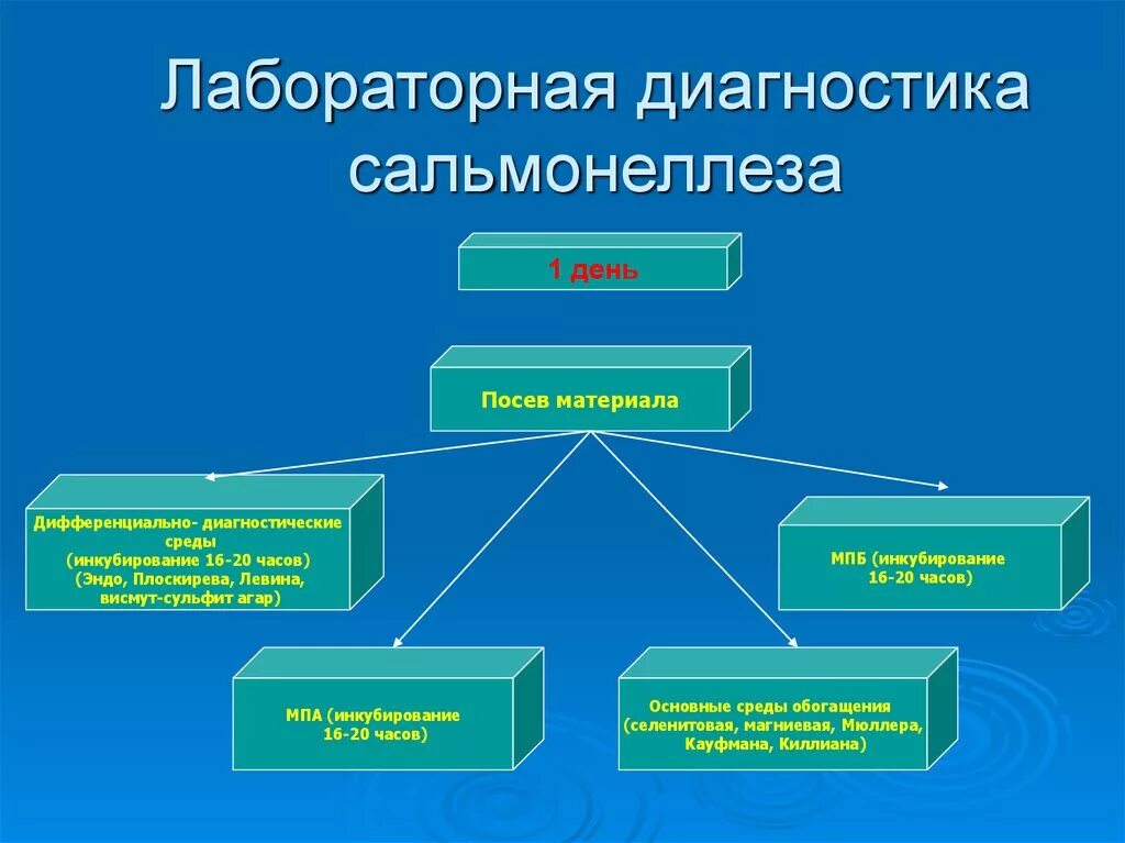 Методы лабораторной диагностики сальмонелл. Схема лабораторной диагностики сальмонеллеза. Схема микробиологической диагностики сальмонеллы. Методы исследования сальмонеллеза. Сальмонеллез наблюдение