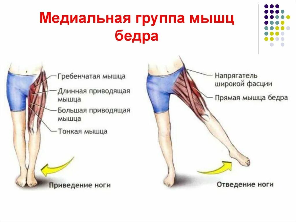 Очень сильно болят бедра. Растяжение мышцы бедра спереди. Отводящие мышцы бедра. Приводящие и отводящие мышцы ног.