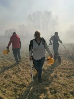 Погода в лотошино на 10
