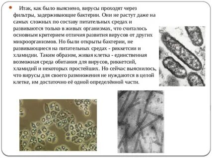 Вирус проходит