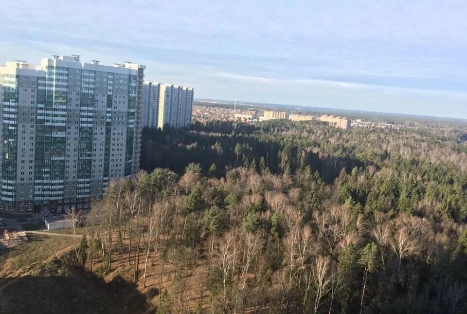 Микрорайон изумрудный красногорск. Жилой комплекс изумрудные холмы. Зеленые холмы красногорск. Жк изумрудный парк. Лесопарк изумрудные холмы.