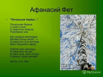 Тютчев учись у дуба у березы