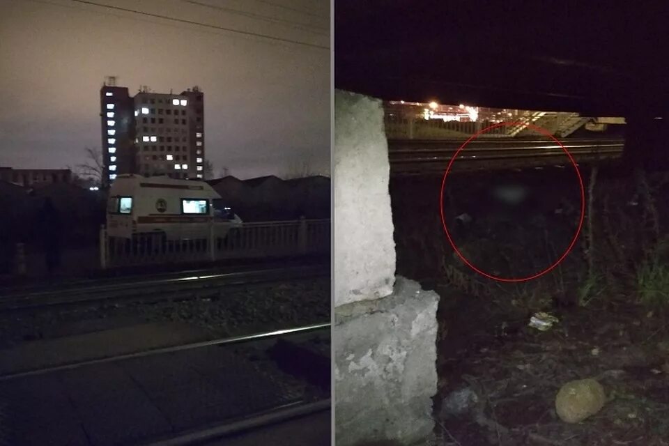 Электричка пушкин славы