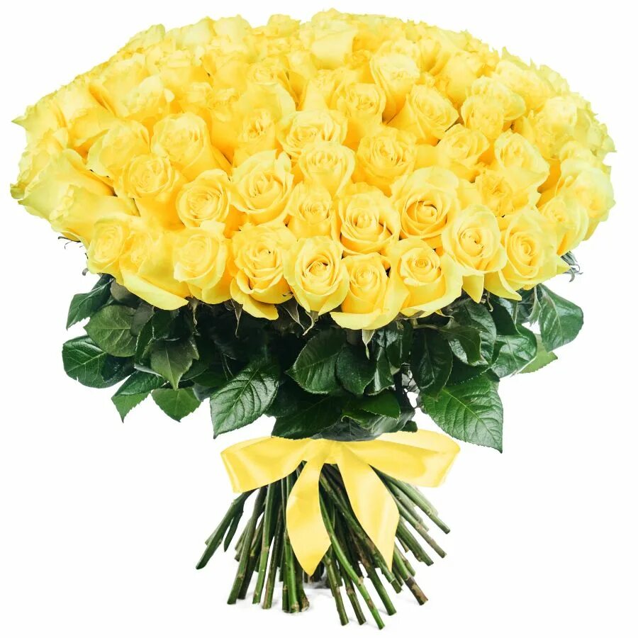 Огромные желтые букеты. Букет из эквадорских желтых роз. Красивый букет из желтых роз. Желтые розы огромный букет.