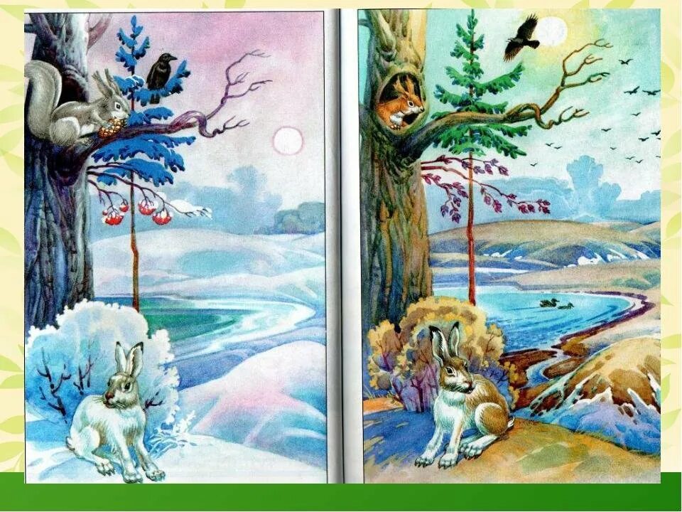 Картины о весне для дошкольников. Жизнь животных весной для детей.