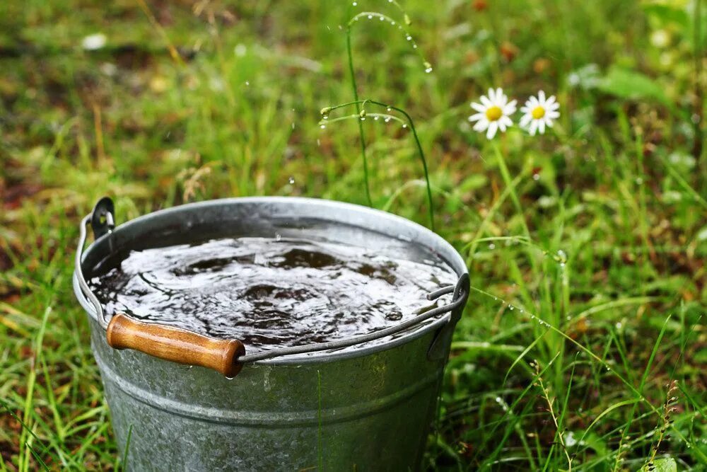 Разлила ведро воды. Ведро с водой. Ведро с колодезной водой. Dtlhj c djljvjq. Bedro c vodoi.