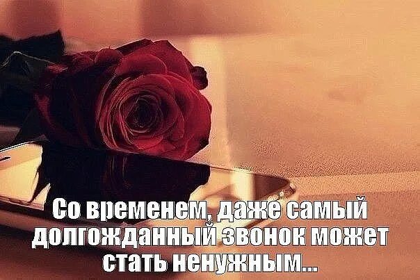 Со мной бесполезно