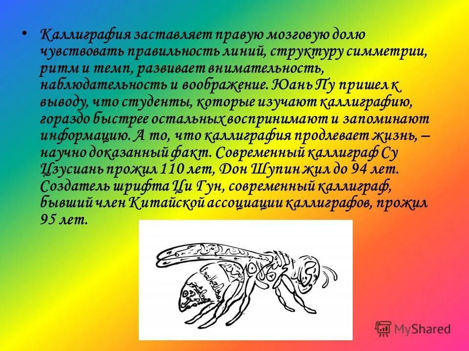 1959 каллиграфия. каллиграфия в церковно приходских школах. положительное влияние на здоровье каллиграфии. буклет на тему влияние каллиграфии на человека. влияние каллиграфии.