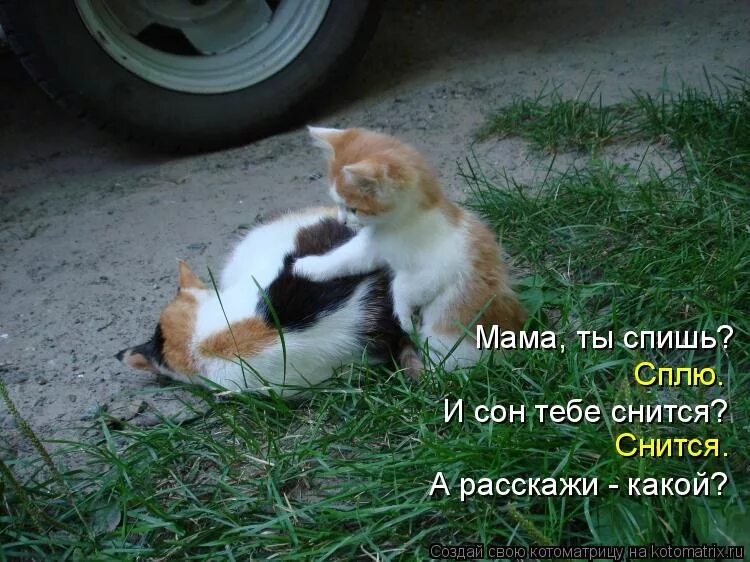 Не знаю наверно нет