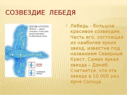 Мои ученики это созвездия 62