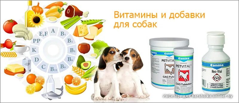 Какие добавки можно давать