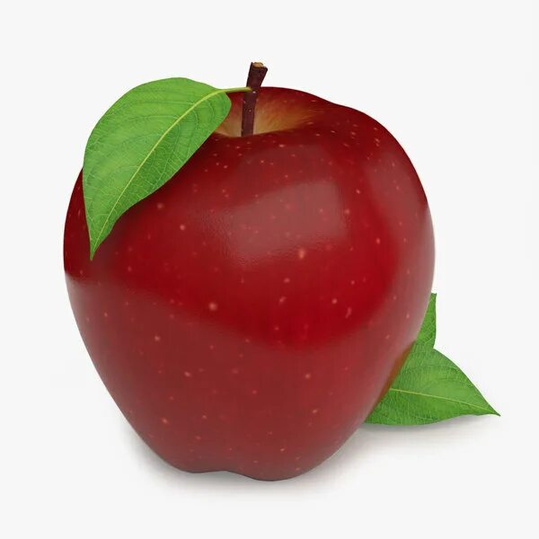 Apple model