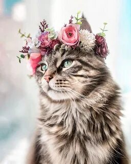 Cat flower crown